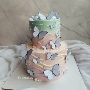 BUTTERFLY BENTO CAKE